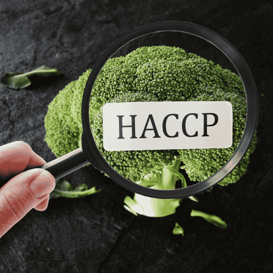 Normes HACCP et qualité agroalimentaire