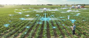 Optimisation des rendements agricoles