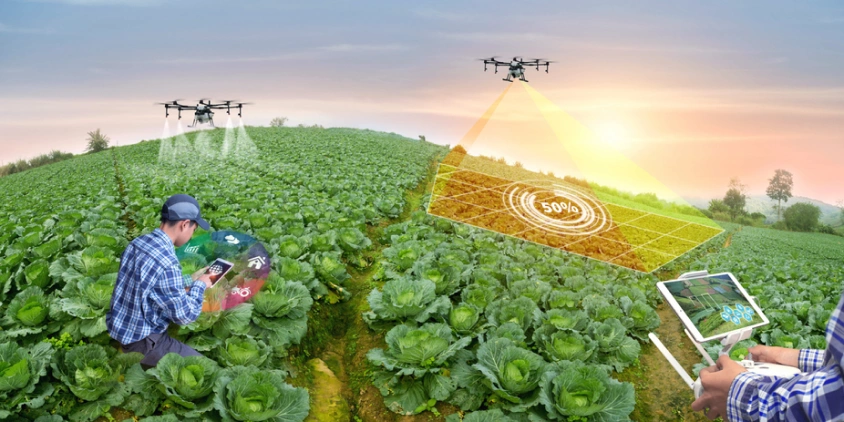 Techniques avancées d’agriculture durable